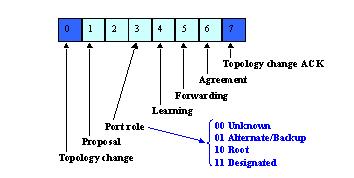 Rapid Spanning Tree Protolcol (RSTP 802.