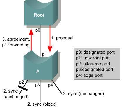 Rapid Spanning Tree Protolcol (RSTP 802.