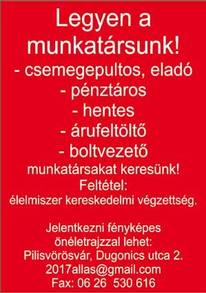 Állásbörze Jelentkezésekor tüntesse fel a Szuperinfó 10 reklámújságot és a facebook megjelenésünket. 2017. szeptember 15.