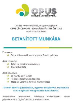 minőségellenőr - targoncavezető (gyakorlattal) - CnC forgácsoló - Esztergályos - ács, állványozó - Vasbeton szerelő - Kőműves - szakács - Bolti eladó Dorog-Ipari mosodába, AZONNALI belépéssel keres
