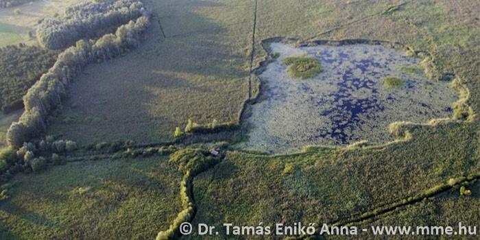 A természeti értékek tekintetében kiemelendő a Duna-Tisza közi Homokhátság élővilága, természetes élőhelyei, homokbuckái, amely tele volt nyílt víztükrökkel, vizenyős területekkel, üde kaszálókkal és