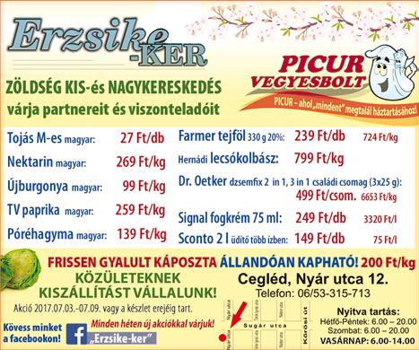 vizsgálat.