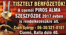 06-20/294-68-41 CEGLÉDEN fürdőhöz közel 3000 nm telken 30 nm-es lakóház melléképületekkel, gyümölcsössel, fenyőfákkal eladó.
