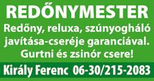 06-20/9-390-096 VESZÉLYES fák lombtalanítását és kivágását vállalom, kosaras autó bérelhető.