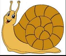 99