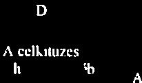 .-. ccl pmhlema dokumeniumokkal - inegnevezese Ill. A nők esélyegyenlősége - hatandeje mero indikator(nk) (human, penzugyi, fenntanhatnsaga nevelö.