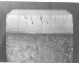 4.6.33/a. ábra: CEM I cementből készített próbatest korróziója salétromsavban 80 nap alatt [3] 4.6.33/b.
