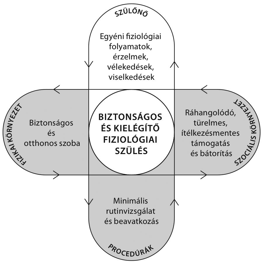 Anyagi támogatás: A közlemény megírása, illetve a kapcsolódó kutatás anyagi támogatásban nem részesült. Szerzői munkamegosztás: R. M.