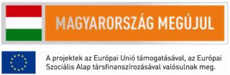 Szakmai beszámoló Kötelező tevékenységek 1. Konzorciumi/együttműködési kapcsolat kialakítása A kapcsolatfelvétel 2013-ban a két település országgyűlési képviselőjének javaslatára történt.