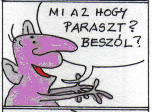 .. b) Foglaljátok táblázatba, amit a szólásokról, szófordulatokról tudtok!