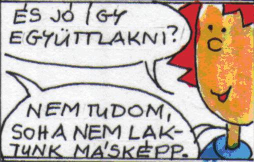 Senki sem nézheti meg a párja mondatát.