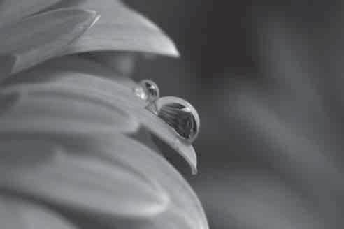k (Mikroszkóp mód) A képek a témától akár 1 cm-es távolságból is elkészíthetők.