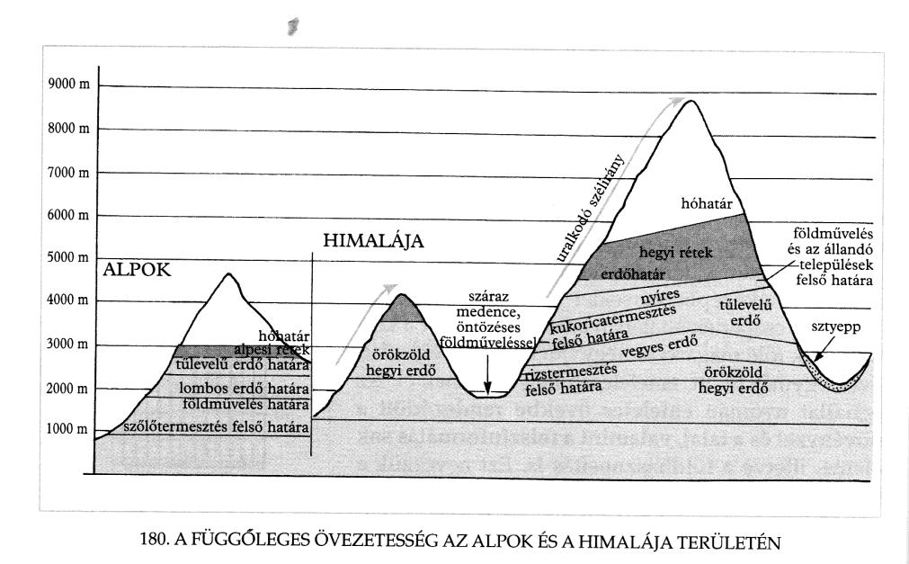 ÁLTALÁNOS TERMÉSZETFÖLDRAJZ A FÜGGŐLEGES ÖVEZETESSSÉG A hegységekben az övezetesség alapját jelentő legfontosabb éghajlati elemek a tengerszint feletti magassággal változnak.