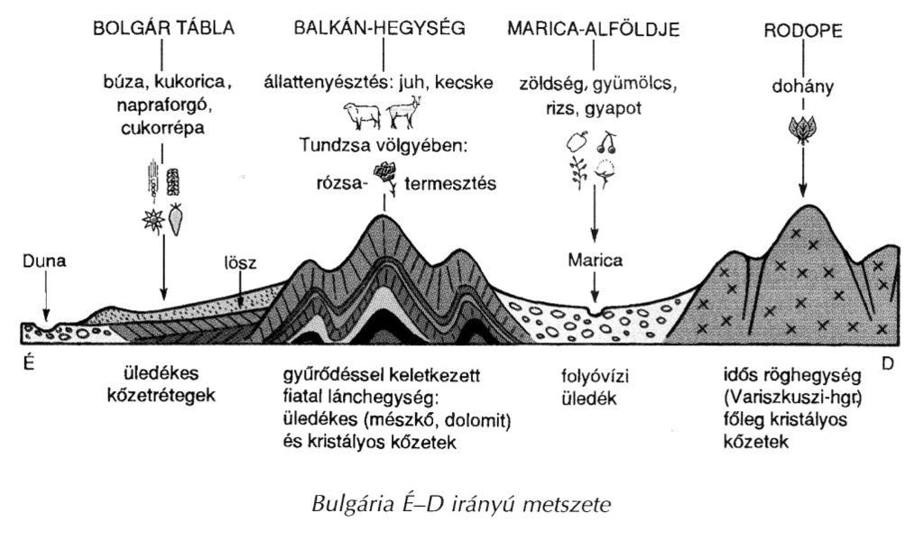 REGIONÁLIS FÖLDRAJZ BULGÁRIA Fővárosa: Szófia Államformája: Köztársaság A Balkán-félsziget északi részén fekszik. Nyugat-Európával és Kis-Ázsiával nemzetközi közút- és vasútvonalak köztik össze.