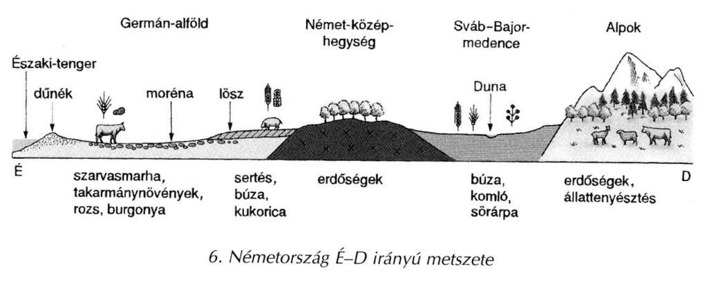 REGIONÁLIS FÖLDRAJZ Éghajlat: A Germán-alföld nyugati része még az óceáni éghajlat jellemzi.