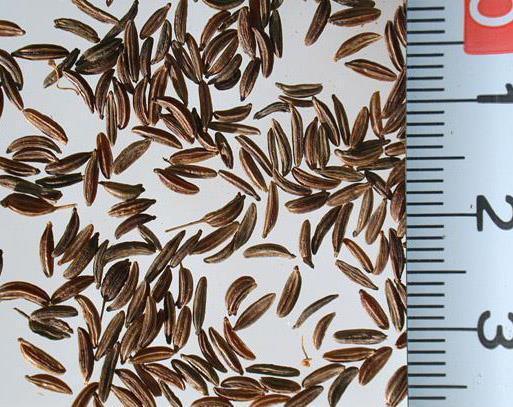 (teltségérzés, flatulencia, görcsök) Napi adagja: 1,5-6 g Nemkívánatos hatások,