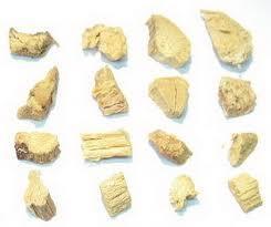Édesgyökér/Liquiritiae radix Édesgyökér/Glycyrrhiza glabra cultivated licorice Fő hatóanyag(csoport): Triterpén szaponinok Felhasználás: GI fekélyek Légúti hurutokban köptető Napi