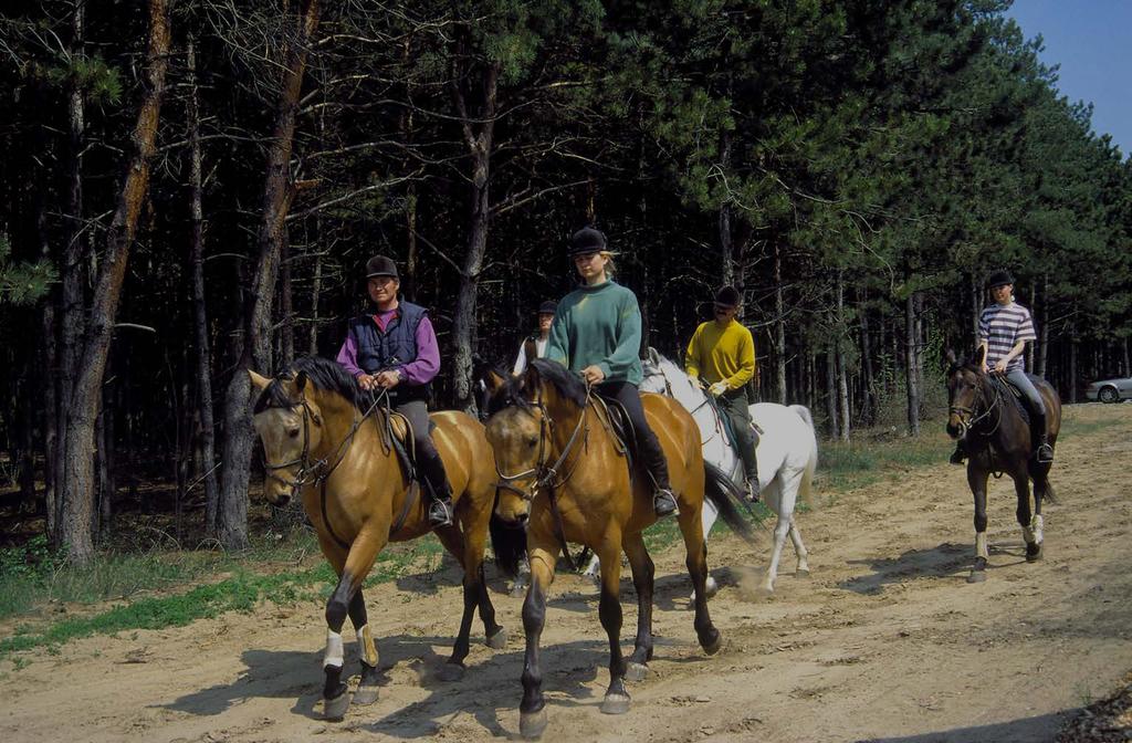 Aktív turizmus - vonzerők Vízi turizmus (jacht, sporthajó) Kerékpáros