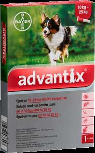 40-60 kg közötti kutyáknak 699 Ft állatgyógyászati termékek Advantix rácsepegtető oldat