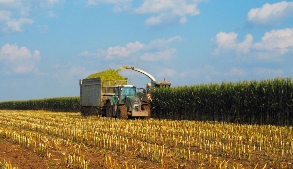 AZ ÉN DUPONT PIONEER-OM AZ ÉN DUPONT PIONEER-OM BOS-FRUCHT AGRÁRSZÖVETKEZET SIKEREI A PIONEER HIBRIDEKKEL Németh Balázst a Bos-Frucht Agrárszövetkezet növénytermesztési vezetőjét invitáltam