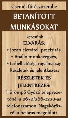 KECSKEMÉTI áruszállító cég nemzetközi gyakorlattal, B kategóriás jogosítvánnyal rendelkező sofőrt keres EU-ban történő munkavégzésre, furgonra.