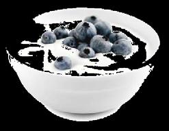 Fermentált tejital, Joghurt,