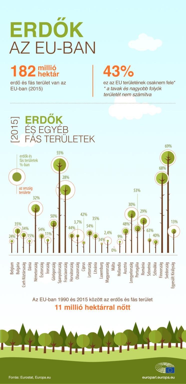 182 millió hektár erdő és fás terület van az EU-ban Miért fontos az erdők védelme?