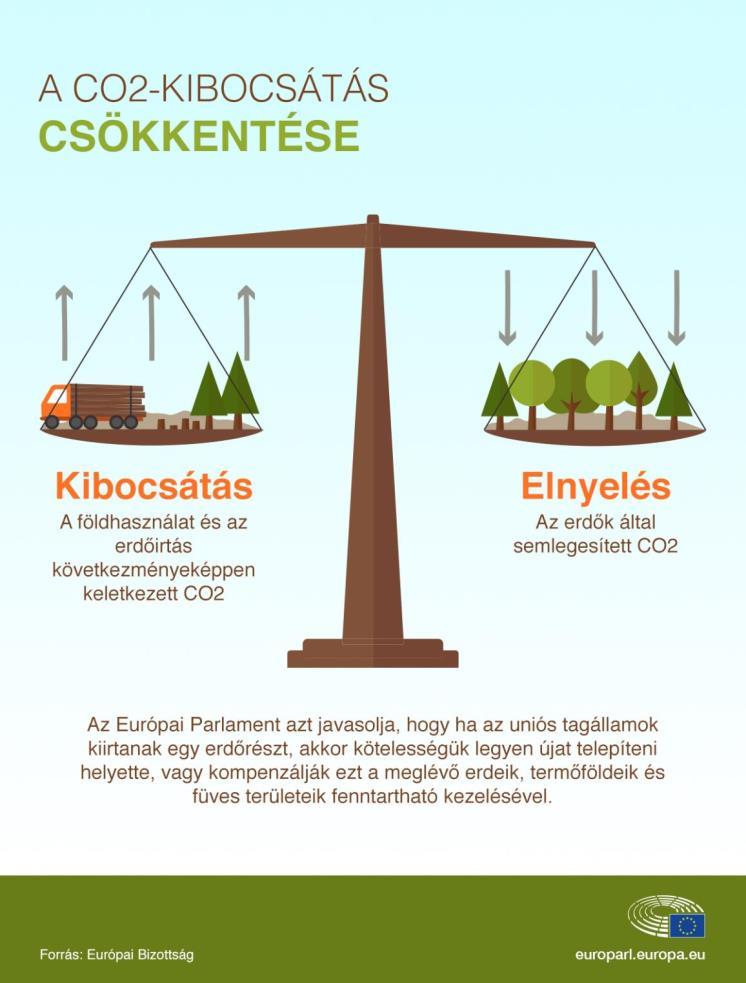 Az EP kötelezné a tagállamokat az erdők védelmére Fontos tudni, hogy a tagállamok a földhasználattal és az erdeik irtásával, fakitermeléssel is termelnek szén-dioxidot.