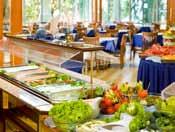 Térítésmentes: Wifi a lobbyban központi recepció day bár All Inclusive bár HOTEL ORCHIDEA*** Térítés ellenében: