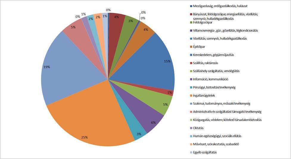 Kiemelkedően magas az V. kerületben a nagy létszámú foglalkoztatottal regisztrált vállalkozások száma a lakosság arányához képest mindhárom kategóriában többszörösen meghaladja a budapesti értékeket.