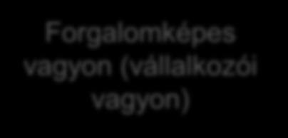 törzsvagyon Forgalomképes vagyon