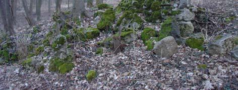 képvisel (15/d. kép). 15/c-d. A grotta-alagút felső, kőkapu része, melynek oldalából vadgesztenyefa nő ki (HNG, 2011) 16. BUDAPEST: SCHMAHL-VILLA KERTJE (XI. ker. Gellérthegy, Kelenhegyi út 43-45/A.