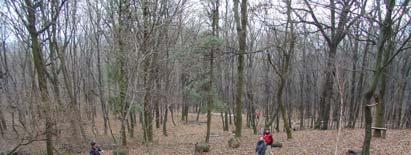 A Trézsi-kút bejárata (HNG, 2009) 43/c-d.