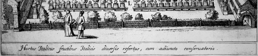 A Hortus Italicus melletti kitüntetett helyét az Anyaszentegyháznak tett szolgálatain kívül további két szempont indokolhatja: egyfelől személyét a humanisták nagyra becsülték, másfelől Csáktornya