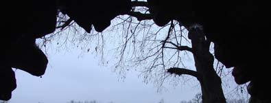 49/f. A grotta