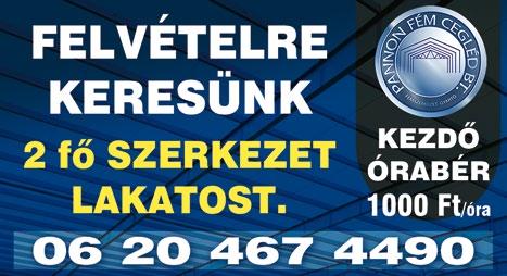 www. dpmsz. hu 11 ÁLLÁSBÖRZE CEGLÉDEN 2017.