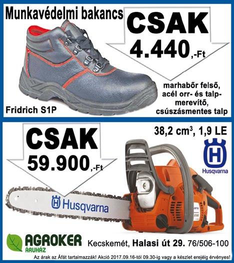 06-70/457-26-66 TÁPIÓGYÖRGYE határában 13,5 ha szántóföld eladó. Ár: 1.650.000 Ft/ha. Telefon: 0620/936-4902 CEGLÉD központjában családi ház eladó.