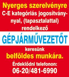 FÉRFI munkatársat keresünk raktáros munkakörbe azonnali kezdéssel. Jel.: hétköznap 8-16, 06 20-436-57-53 AUTÓSZERELŐ, autóvillamosság szerelő munkatársat felveszünk.