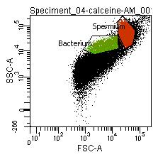 baktériumok is detektálhatók Fluoreszcens jelzett antitest esetén nem csak Gram