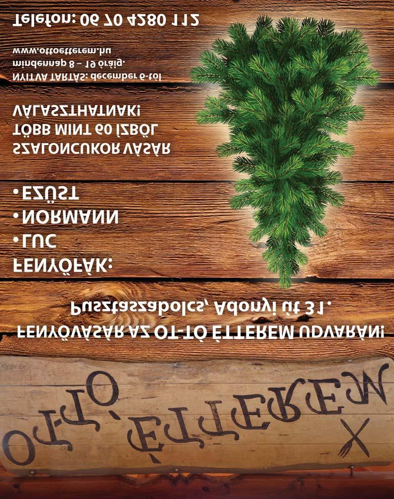 t k k érségi is apocs Ingyenes információs és hirdetési havilap 2017.