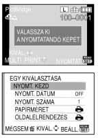 Külsô készülék csatlakoztatása Egyedi kép kiválasztása és nyomtatása A / gomb megnyomásával válassza ki az [EGY KÉP] opciót, majd nyomja meg a [MENU/SET] gombot. Az üzenet kb. 2 másodpercig látszik.