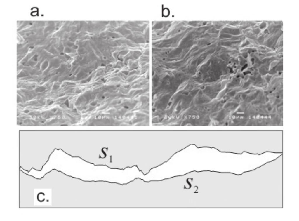 48. Role of fractals in dentistry Vojislav V. Mitic 1,2, Lj. Kocic 1, V. Paunovic 1, M.