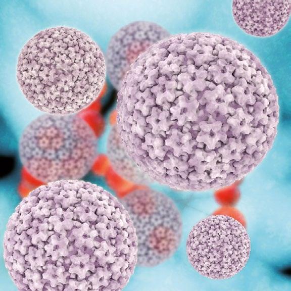vagy primer peritonealis carcinoma fenntartó kezelésére javallott monoterápiában olyan felnőtteknél, akik reagálnak (teljes remisszió vagy részleges remisszió) a platina-alapú kemoterápiára.