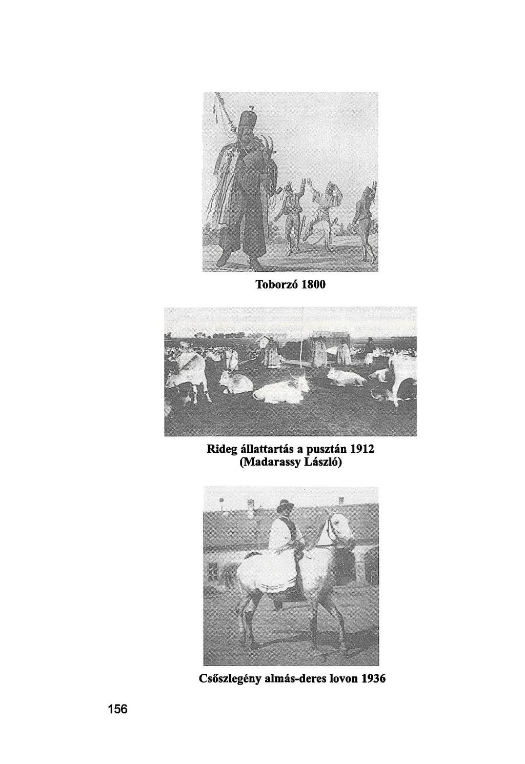 Toborzó 1800 Rideg állattartás a pusztán 1912