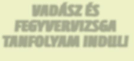 További információ: 06-30/412-7265; 06-1/550-0103 TARKÁCS ÉS BAPÉTA BOLT Hol a hiba?
