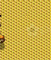 Varroa atka elleni védelmet!