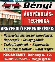 A budapesti székhelyű Wanapack Miniker Kft.