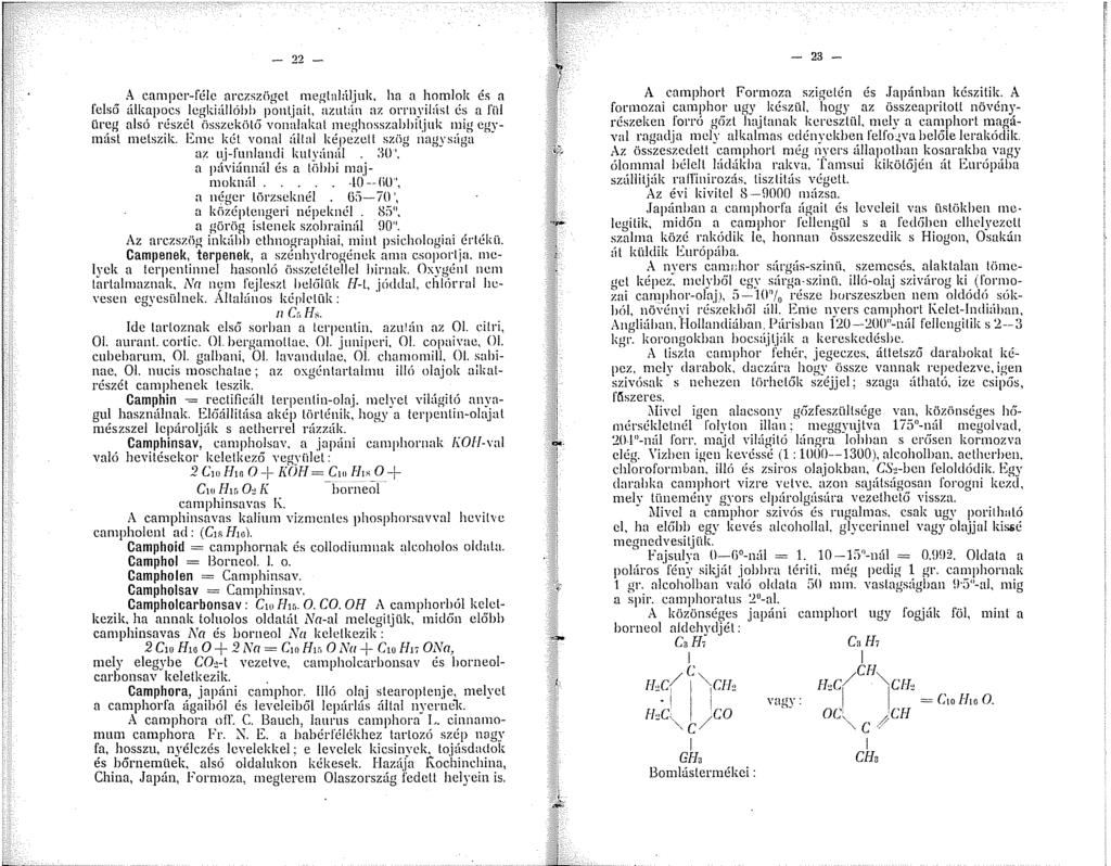 - 22 -. A campcr-félc arczsziigct megtalúljuk, ha a homlok és a lelso álkapocs legkiállóhh pontjait, azután az orrnyilúst és a fíil ür~g alsó r~szé.