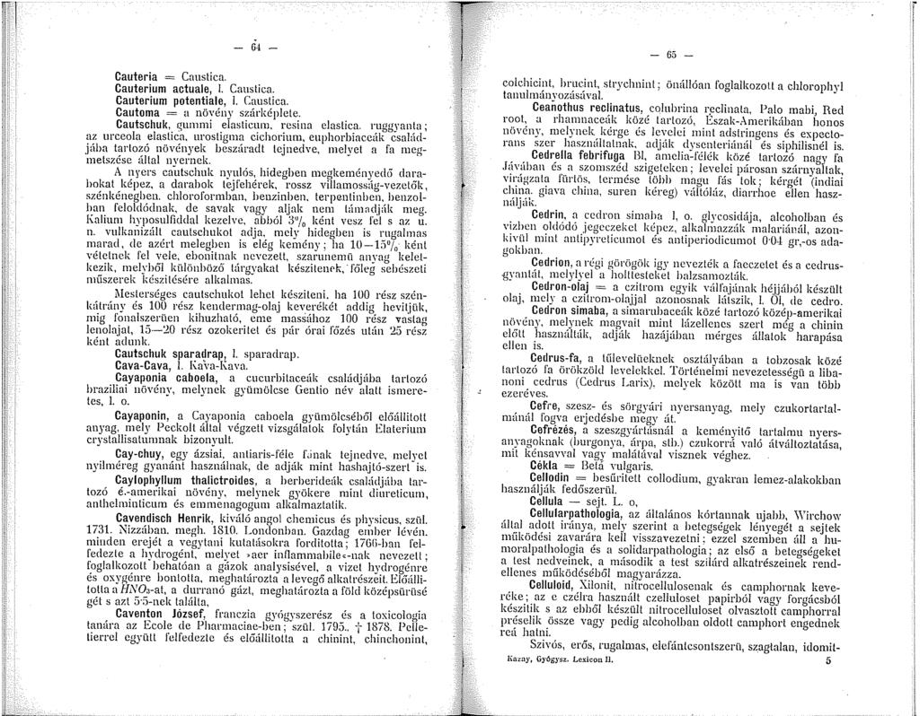 65 - Cauteria = Cmstica. Cauterium actuale,. Caustica. Cauterium potentiale,. Caustica. Cautoma = a növény szárképlete. Cautschuk, qummi elasticum, resina clastica. ruggyan!