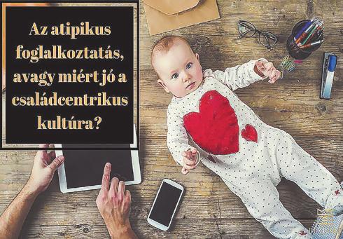 Kissné Kecsmárik Anita gazdasági vezető és Kormos-Baráth Gerda képzési vezető számolt be a társaság Hírlevelében. A projekt megvalósításának időtartama: 2017. június 1 2018. május 31. A Contact Nkft.